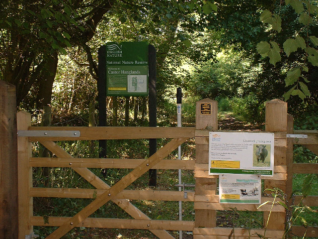 Castor Hanglands