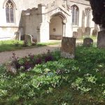 THE FLOWERS OF SPRING