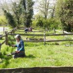 The Washdyke