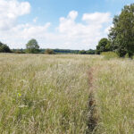 Langdyke Trust land