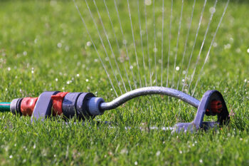 lawns
