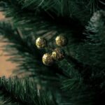 Trees are not just for Christmas. Trees are not just for Christmas.