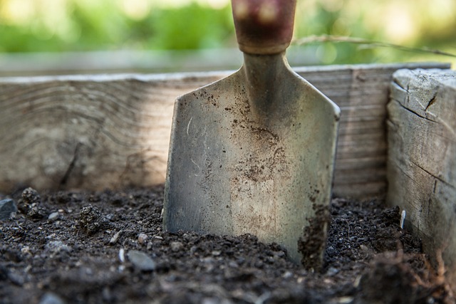 Dig in garden