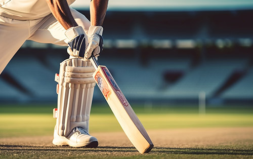 Cricket game